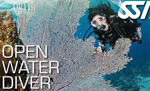 OPEN WATER DIVER